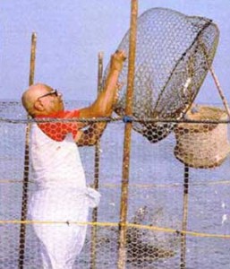 البحر والإبداع