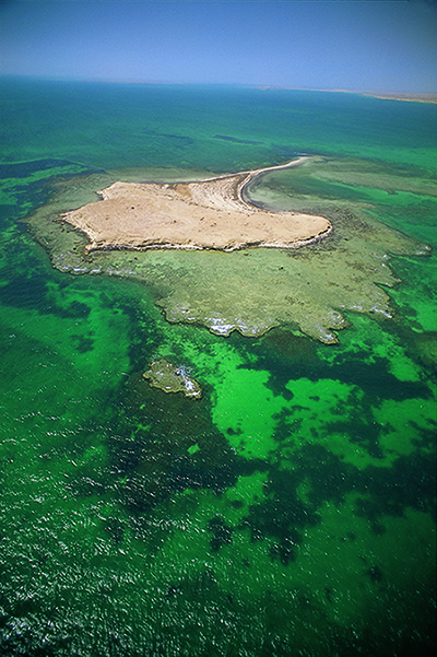 جزر حوار