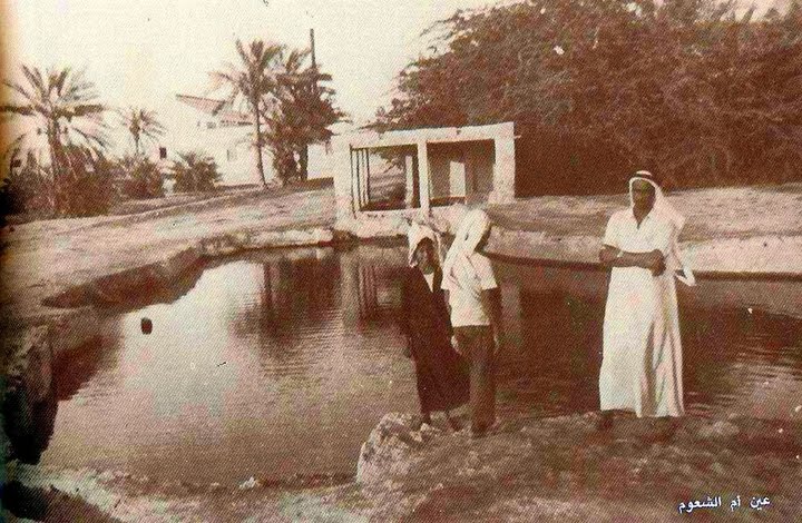 https://history.dilmun.bh/wp-content/uploads/bfvb/1f4725b97c3a4003453dd7ac5d03e86a.jpg