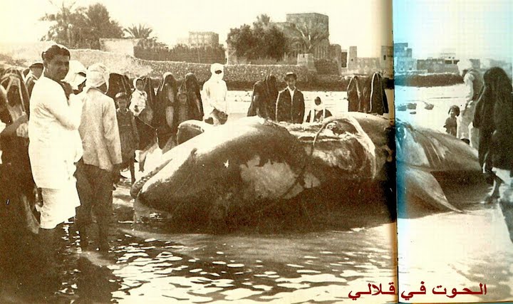 https://history.dilmun.bh/wp-content/uploads/bfvb/39b818870e0519b5aa9c076a8ff82e89.jpg