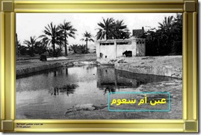 صورة رقم 50 من تراث البحرين