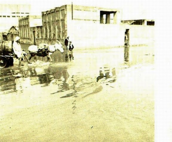 https://history.dilmun.bh/wp-content/uploads/bfvb/5281411f47b672c67adacb5b9f7cd060.jpg