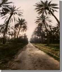 clip_image001