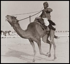 صورة قديمة للبحرين رقم 5