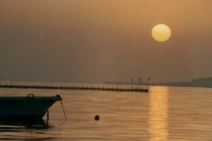 منظر الغروب على الساحل شمال القرية