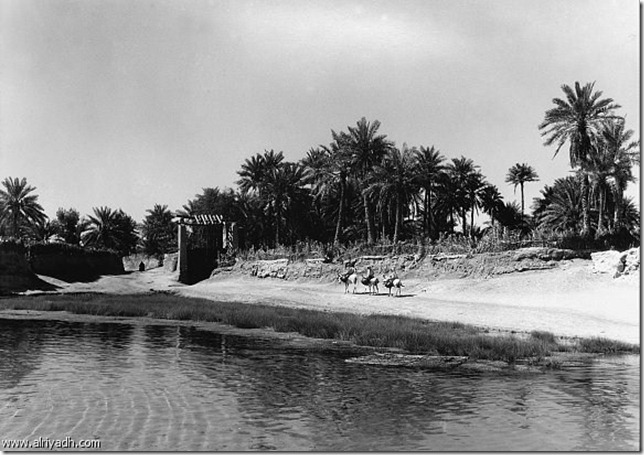 صور نادرة عيون الأحساء القديمة