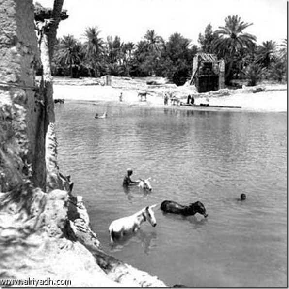 صور نادرة عيون الأحساء القديمة