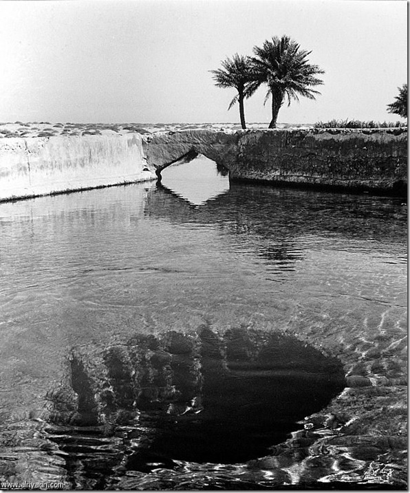صور نادرة عيون الأحساء القديمة