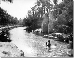 صور نادرة عيون الأحساء القديمة