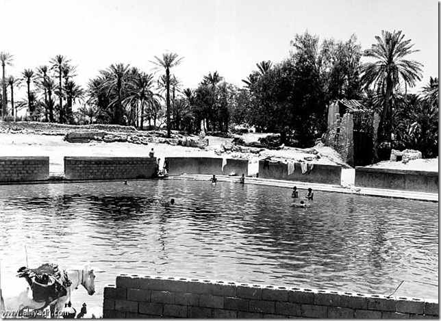 صور نادرة عيون الأحساء القديمة