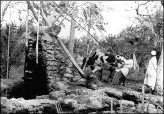 pic14