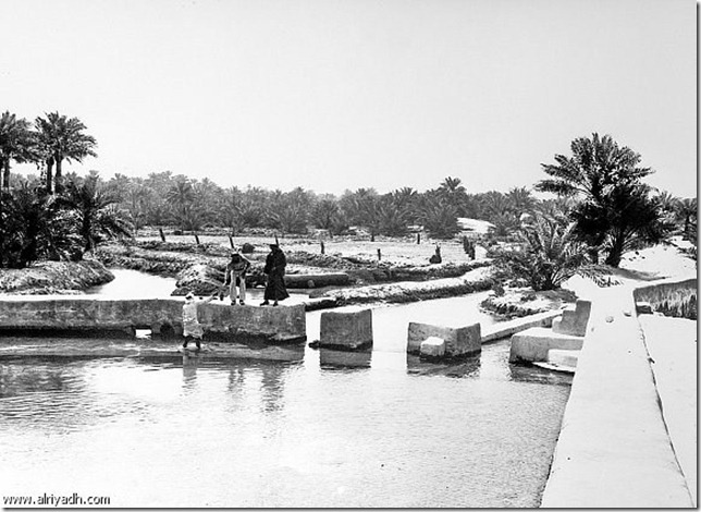 صور نادرة عيون الأحساء القديمة
