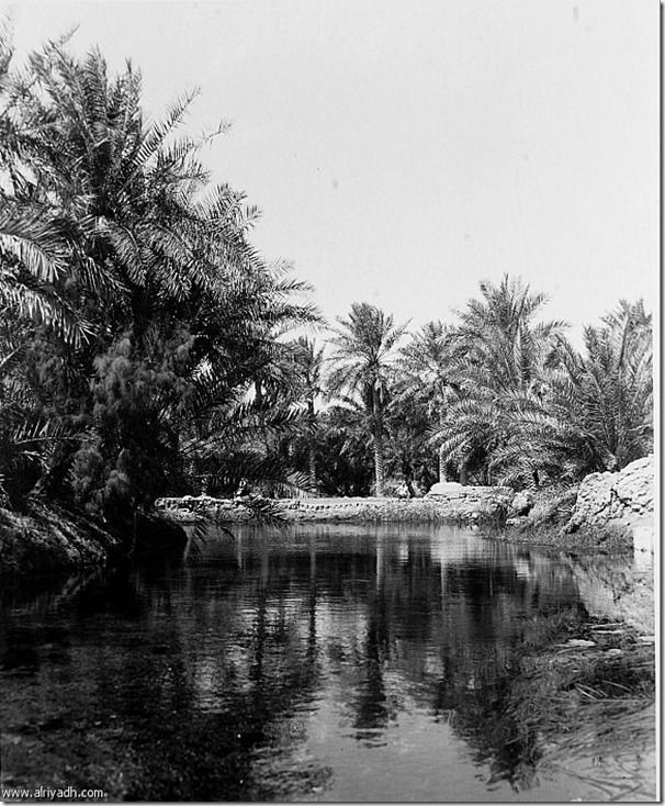 صور نادرة عيون الأحساء القديمة