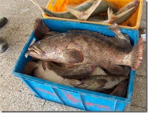 G'EH1