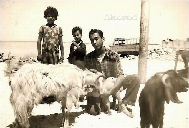 Alhoora1960